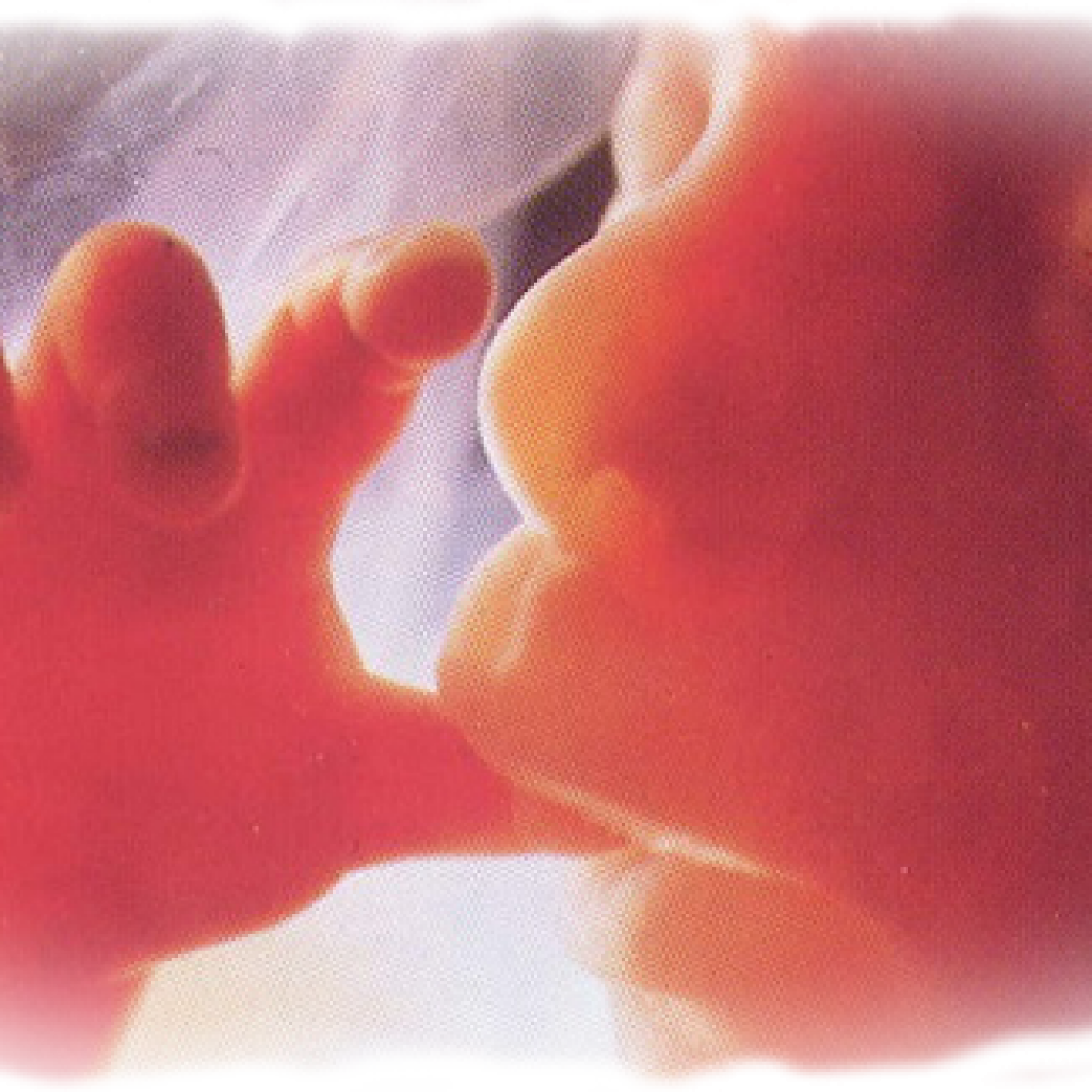 UnbornChild Life and Family Institute